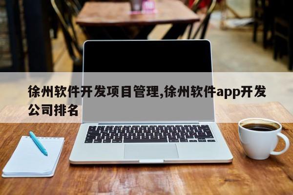 徐州软件开发项目管理,徐州软件app开发公司排名